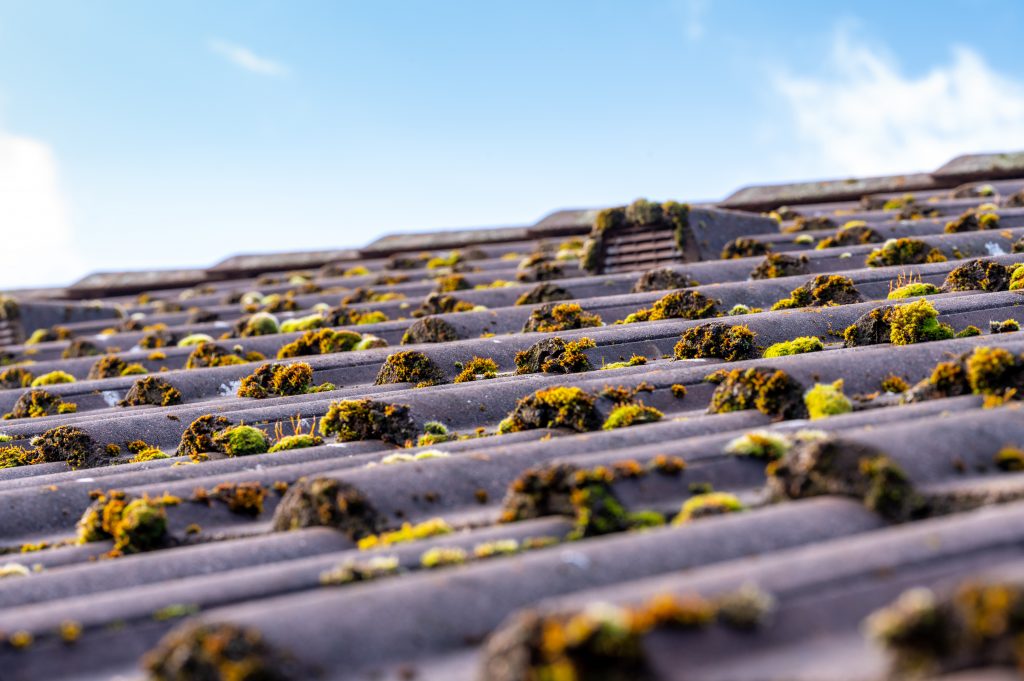 Dufresne Couverture - Travaux de Couverture à Chartres - Entretien de toiture